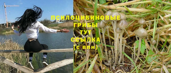 mdpv Вязьма